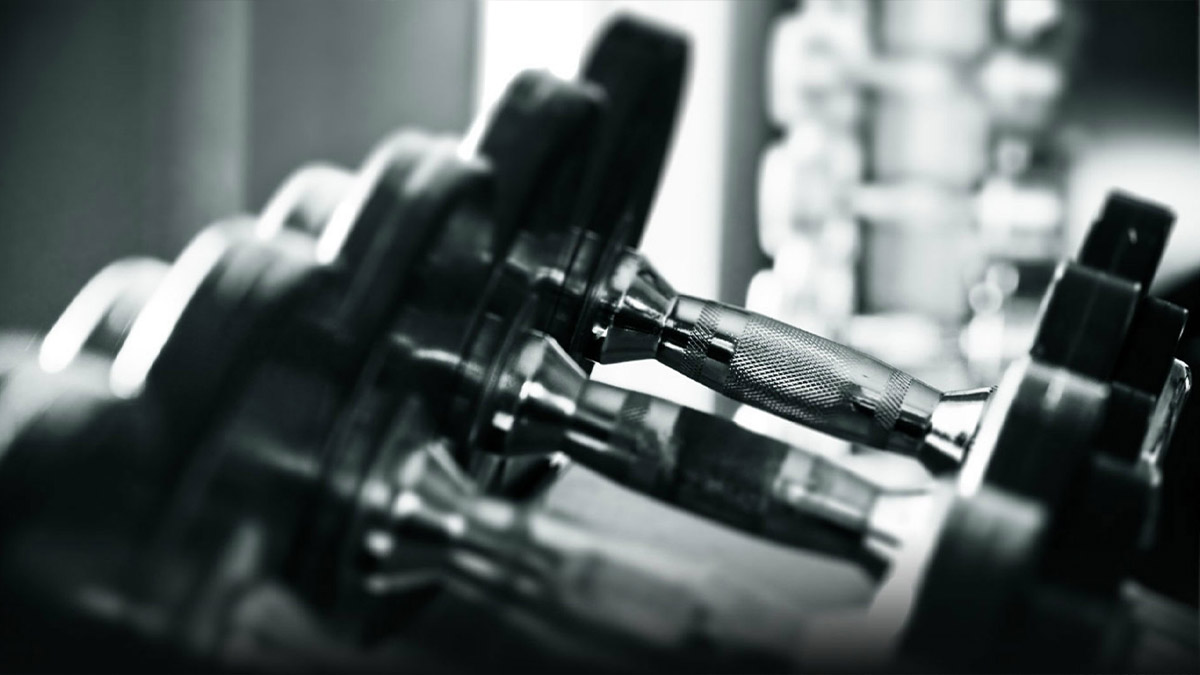 pesi palestra manubri kettlebell bilancieri ProduceShop