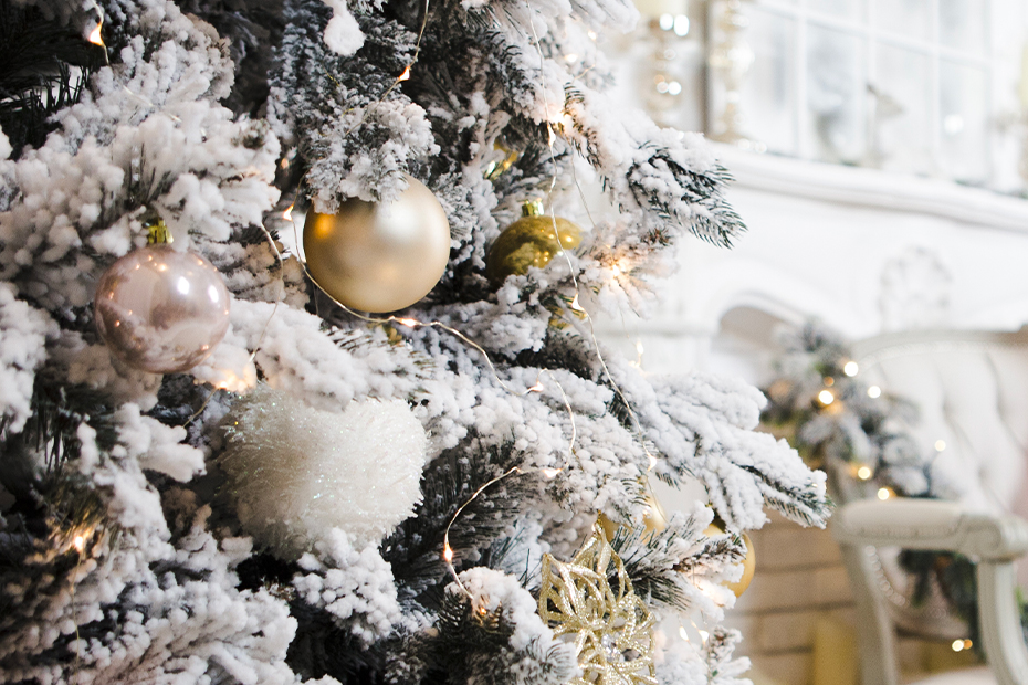 Weihnachtsbaum echt oder künstlich Was ist deine Wahl für 2023?