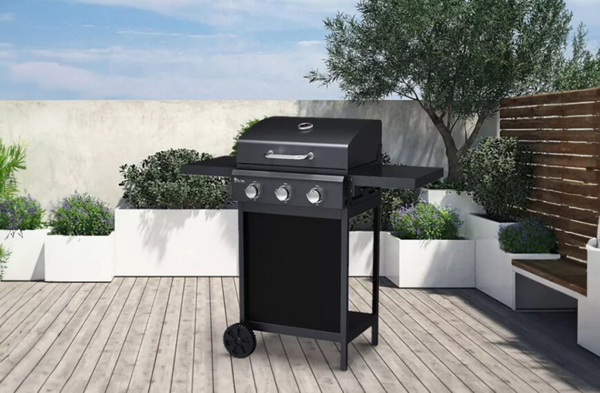 barbecue a gas in acciaio inox