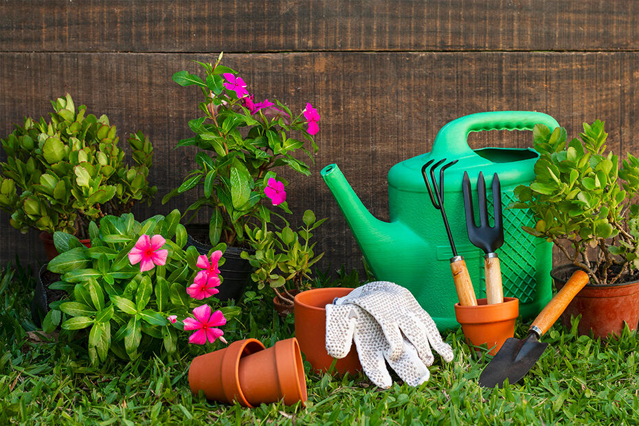come progettare un giardino